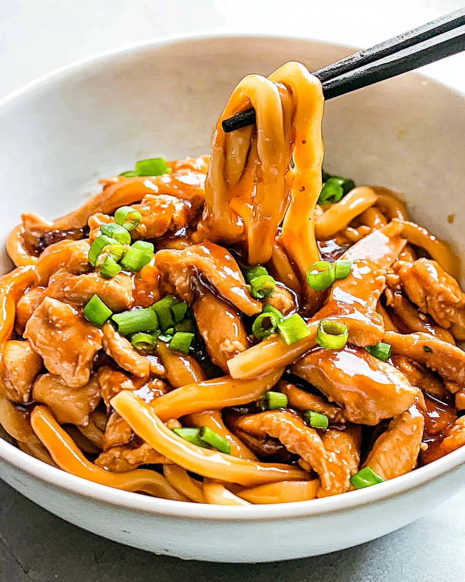 Hoisin Chicken Udon Noodles