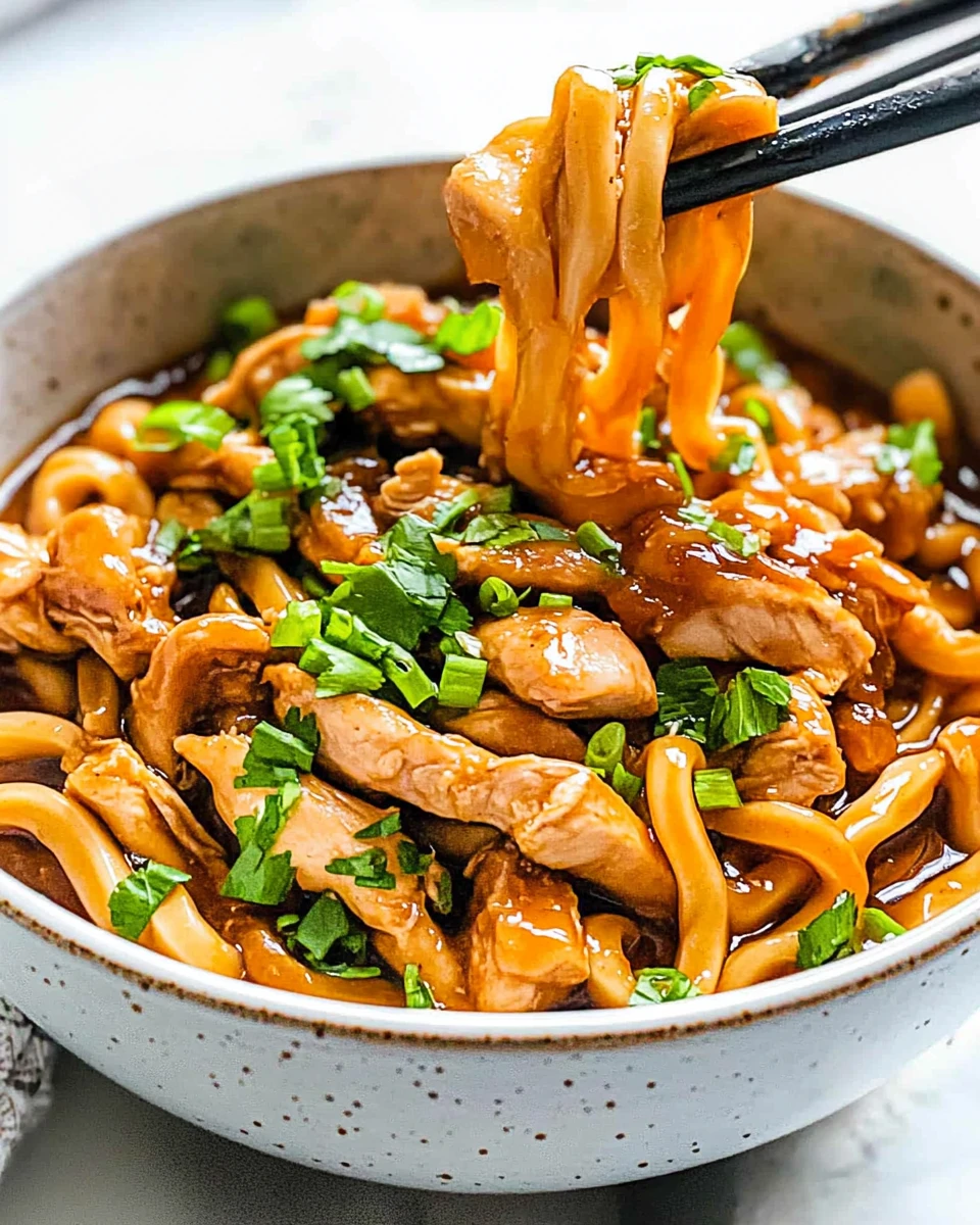 Hoisin Chicken Udon Noodles