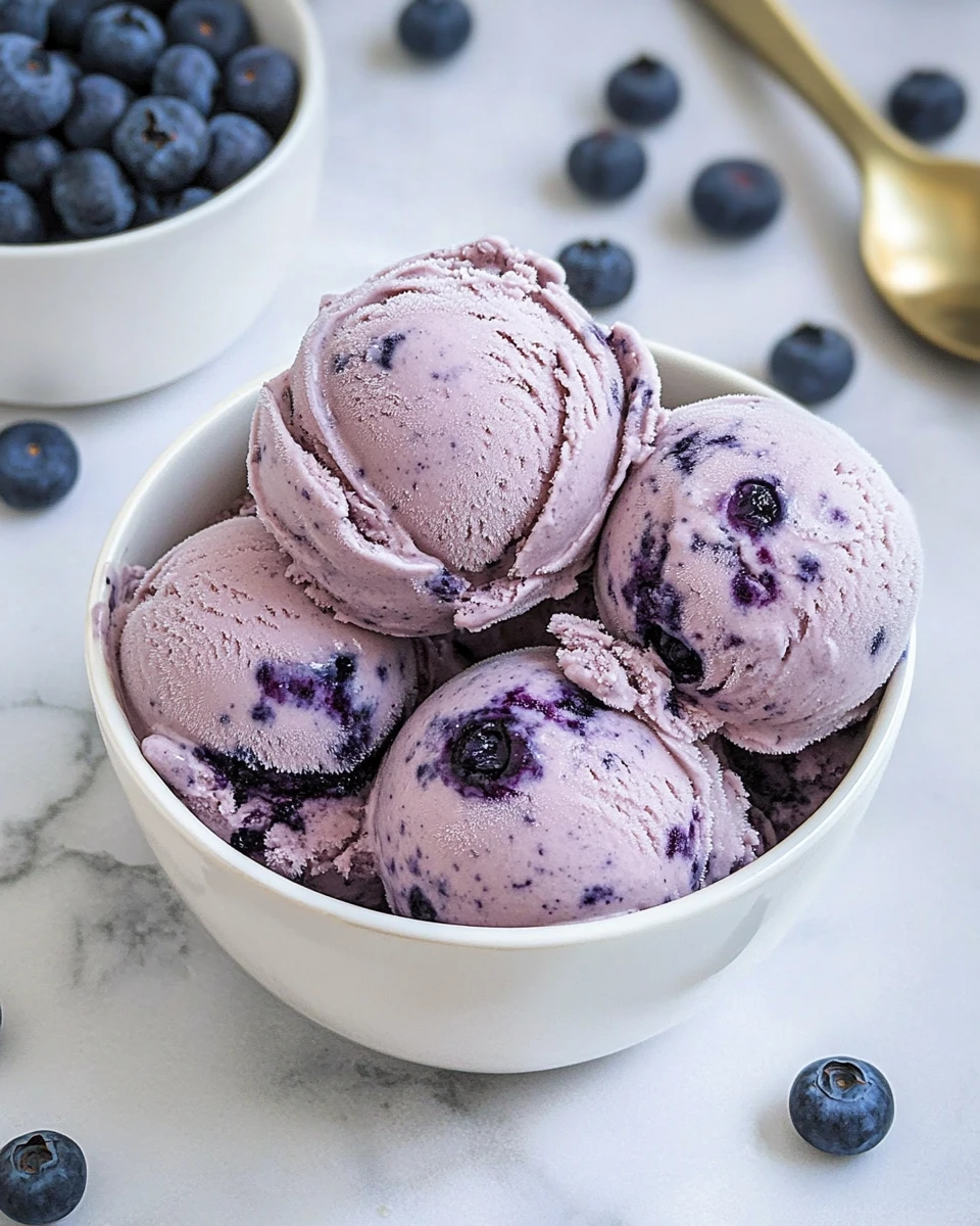 Homemade Blueberry Ice Cream