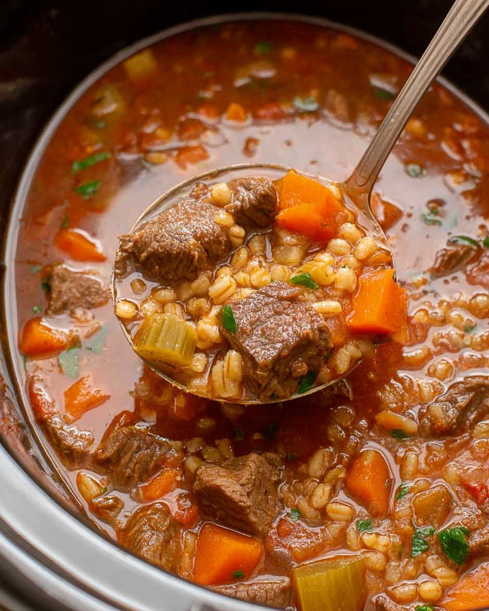 Slow Cooker Beef Barley Soup