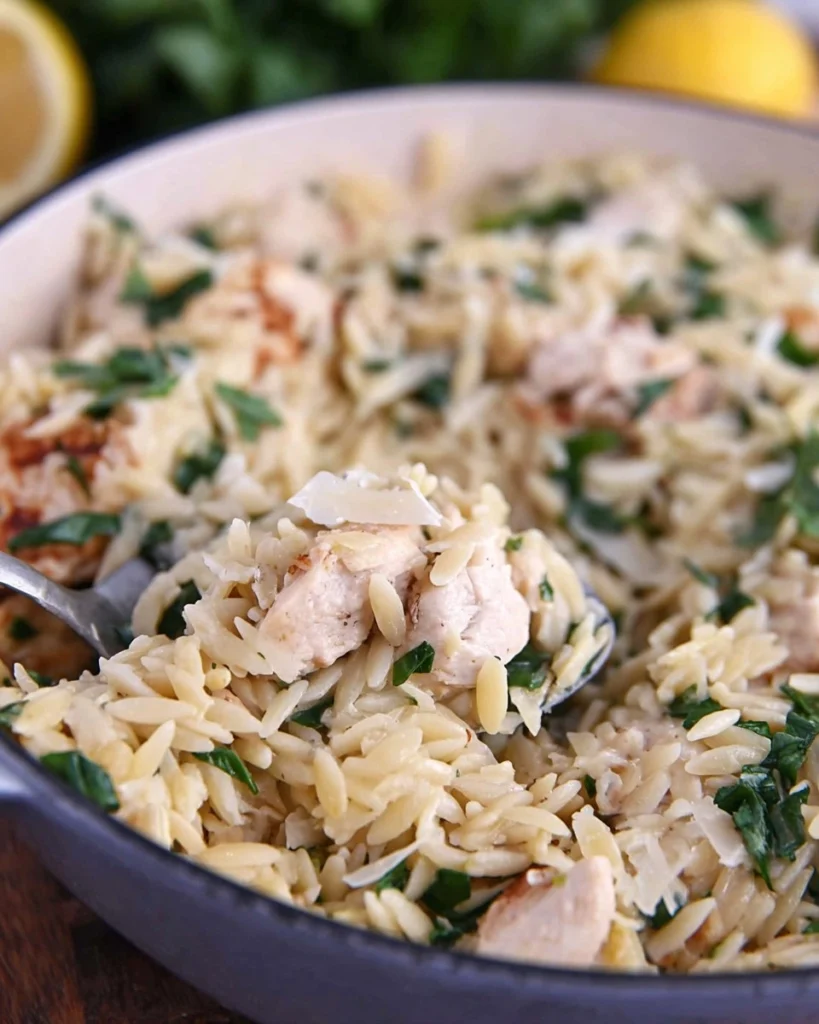 One-Pot-Lemon-Orzo-with-Chicken-Recipe