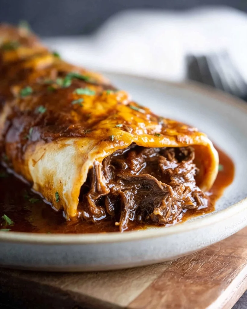 Slow-Cooker-Chile-Colorado-Burritos-Recipe